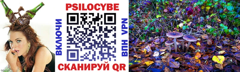 купить наркоту  это официальный сайт  Галлюциногенные грибы ЛСД  Ершов 